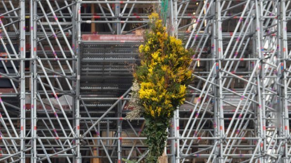 Notre-Dame : Des fleurs pour faire battre son choeur