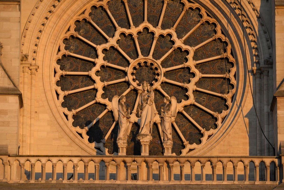 Veillée à Notre Dame avec Pierres Vivantes. © Marie-Christine Bertin / Diocèse de Paris.