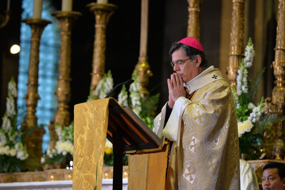 Mgr Michel Aupetit, archevêque de Paris. © Marie-Christine Bertin / Diocèse de Paris.