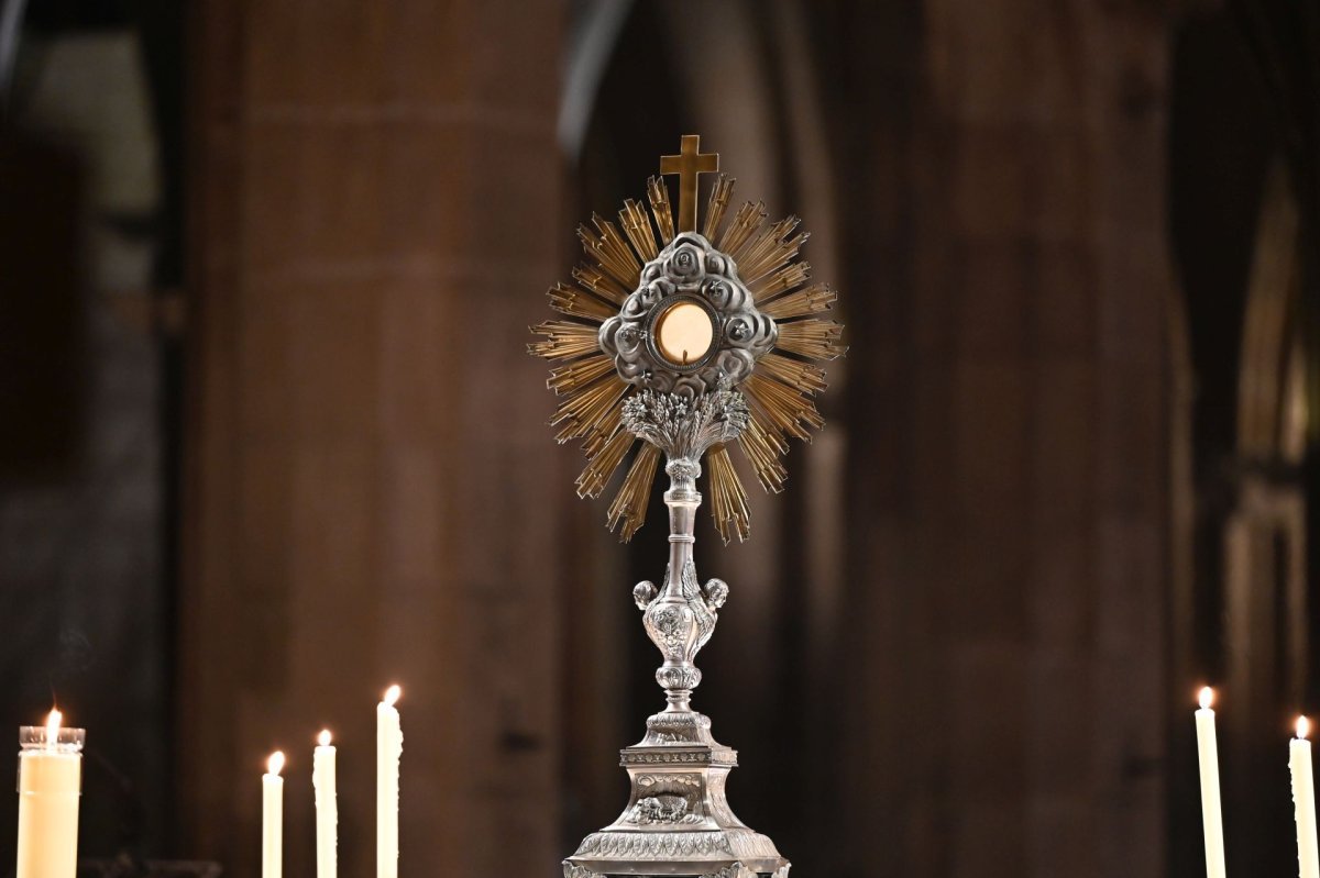 Catéchèse sur la confirmation. Lundi 19 mai 2025. © Marie-Christine Bertin / Diocèse de Paris.