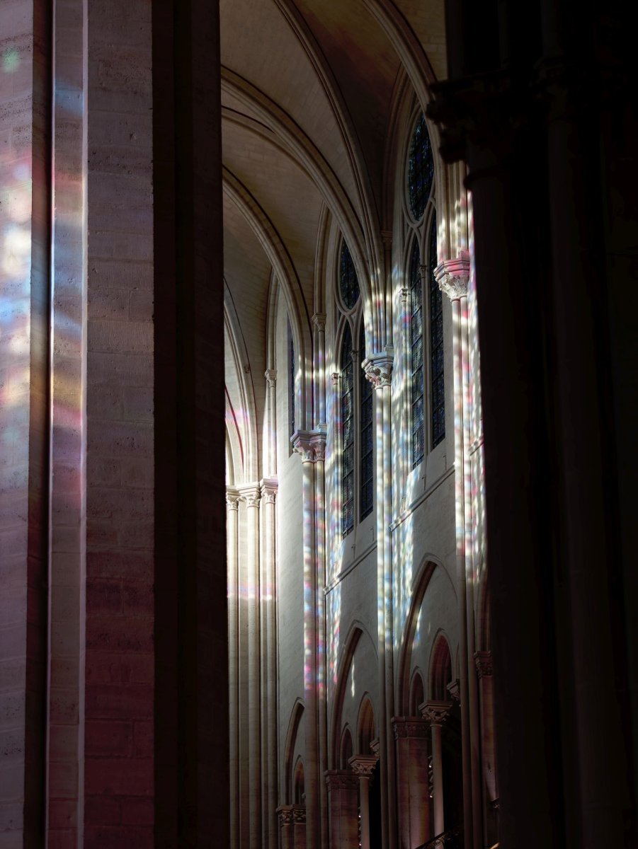Prière du milieu du jour à Notre-Dame de Paris. © Yannick Boschat / Diocèse de Paris.