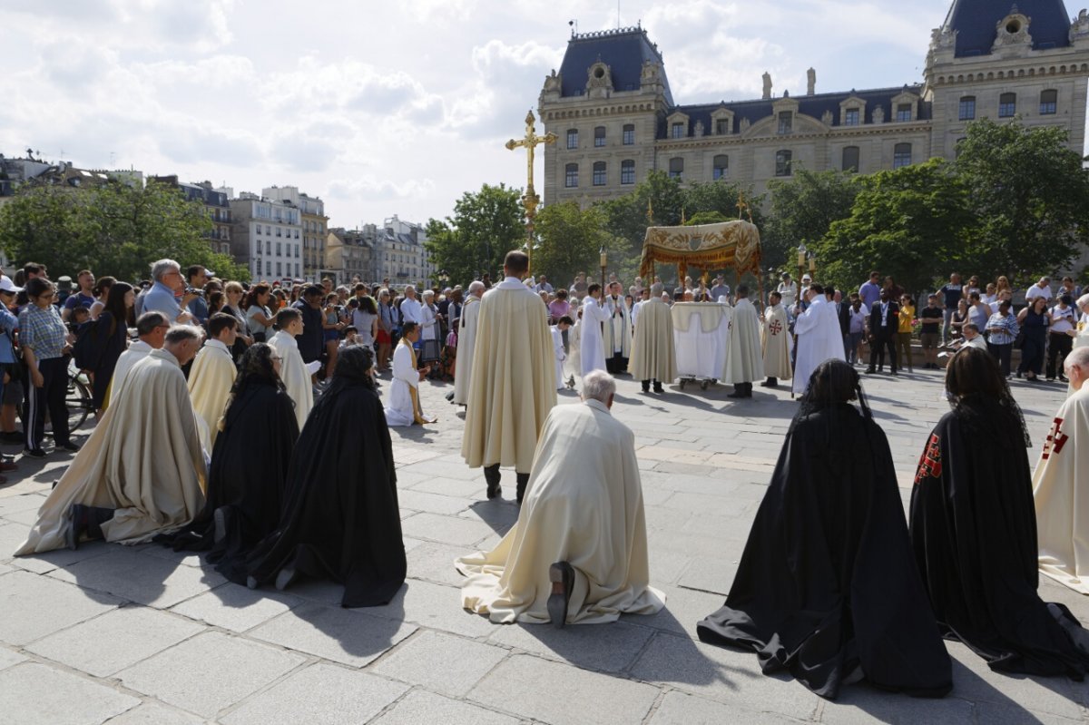 Procession à Notre-Dame de Paris. © Yannick Boschat / Diocèse de Paris.