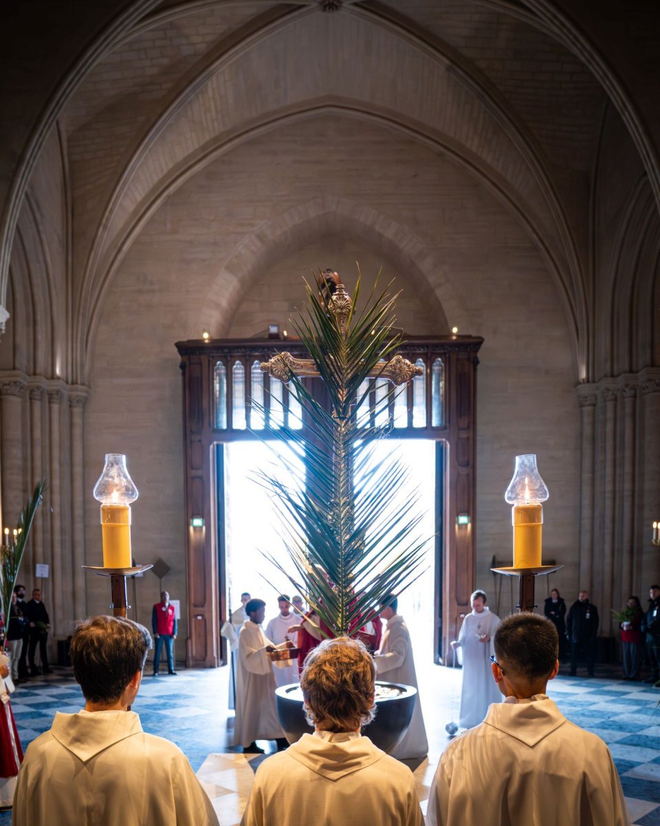 Dimanche des Rameaux à Notre-Dame de Paris (4e). © Liam Hoarau / Diocèse de Paris.