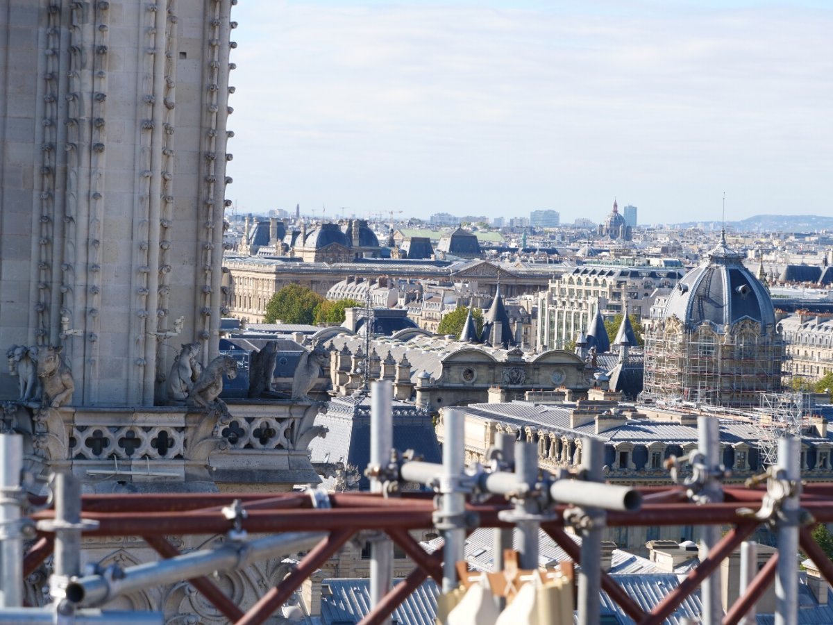 Notre-Dame de Paris. © Laurence Faure / Diocèse de Paris.