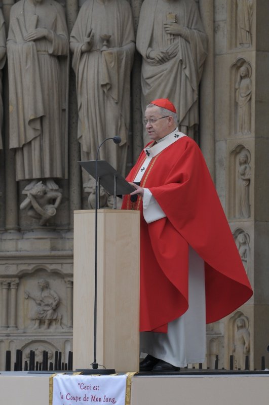 Homélie du cardinal André Vingt-Trois. © Trung Hieu Do.