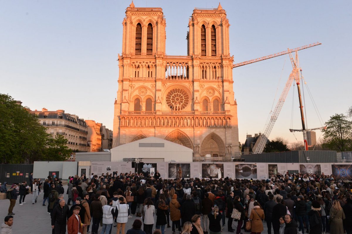 Veillée à Notre Dame avec Pierres Vivantes. © Marie-Christine Bertin / Diocèse de Paris.