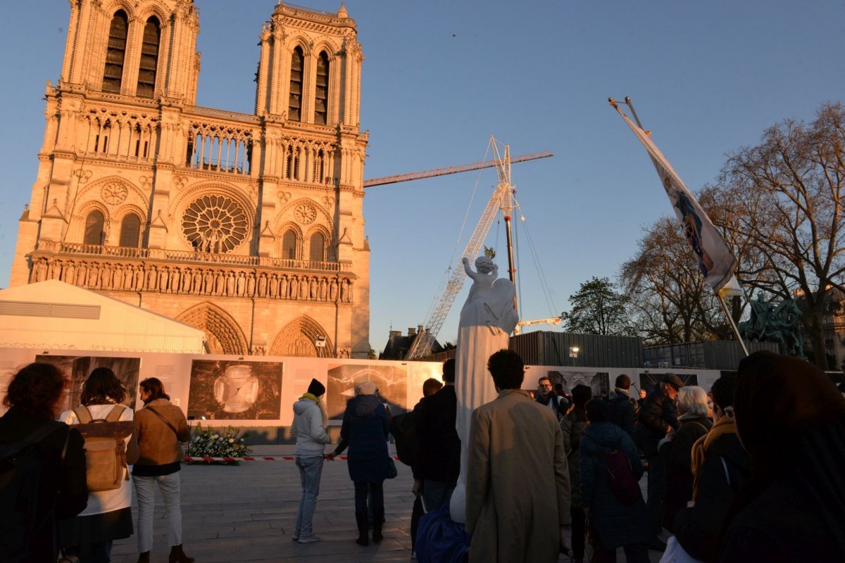 Veillée à Notre Dame avec Pierres Vivantes. © Marie-Christine Bertin / Diocèse de Paris.