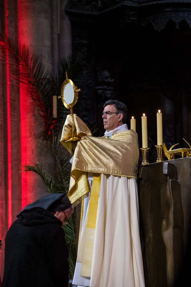 “La Nuit des Témoins” à Notre-Dame de Paris. © Solene Perrot.