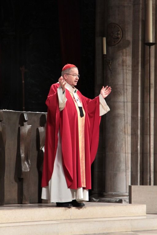 Accueil du cardinal André Vingt-Trois. Photo © Yannick Boschat 