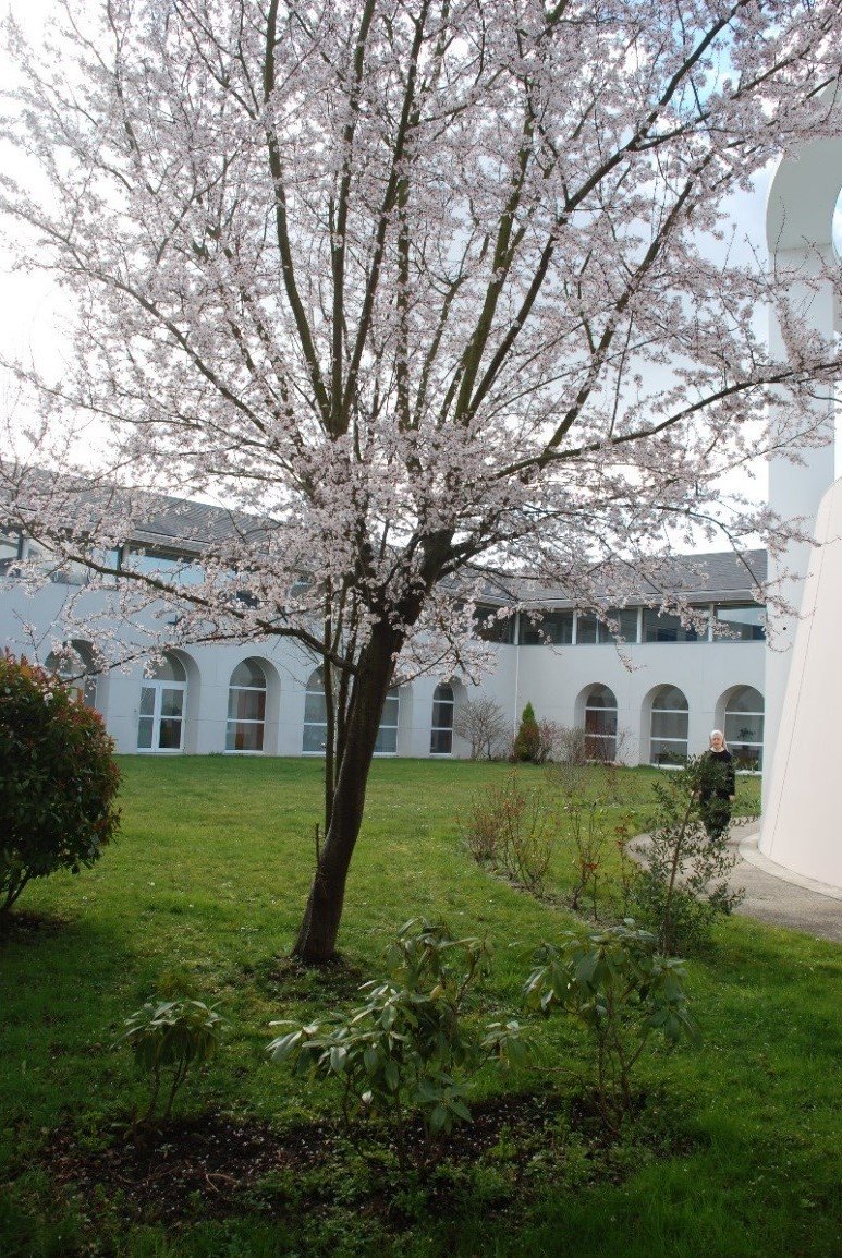 © Monastère Notre-Dame, Bouzy la Forêt.