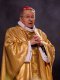 Homélie du cardinal André Vingt-Trois - Messe du Frat en la Basilique Saint-Pie X à Lourdes