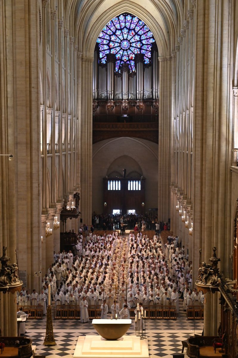 Jubilé des prêtres d'Île-de-France 2025. Messe à Notre-Dame de Paris, 4e. © Marie-Christine Bertin / Diocèse de Paris.