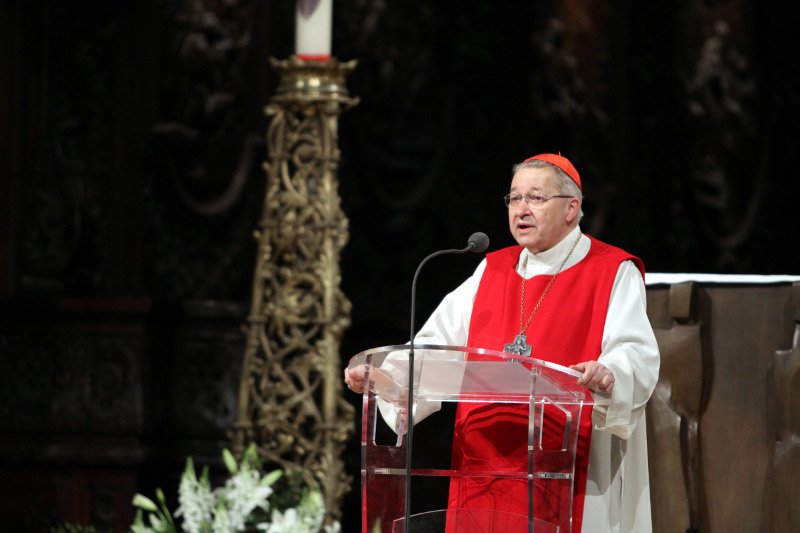 Le cardinal André Vingt-Trois a développé les axes essentiels de travail (…). © Yannick Boschat.