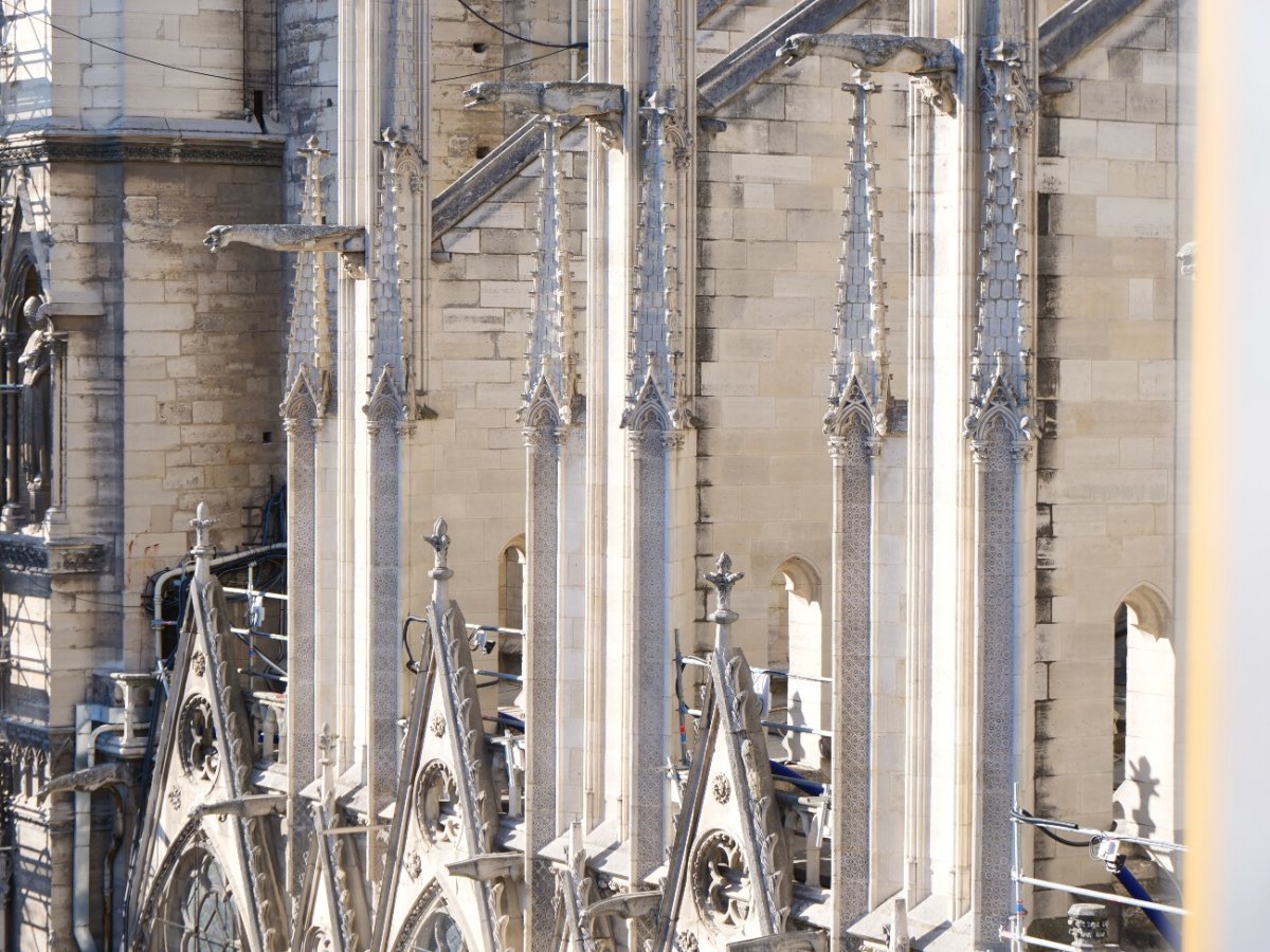 Notre-Dame de Paris. © Laurence Faure / Diocèse de Paris.