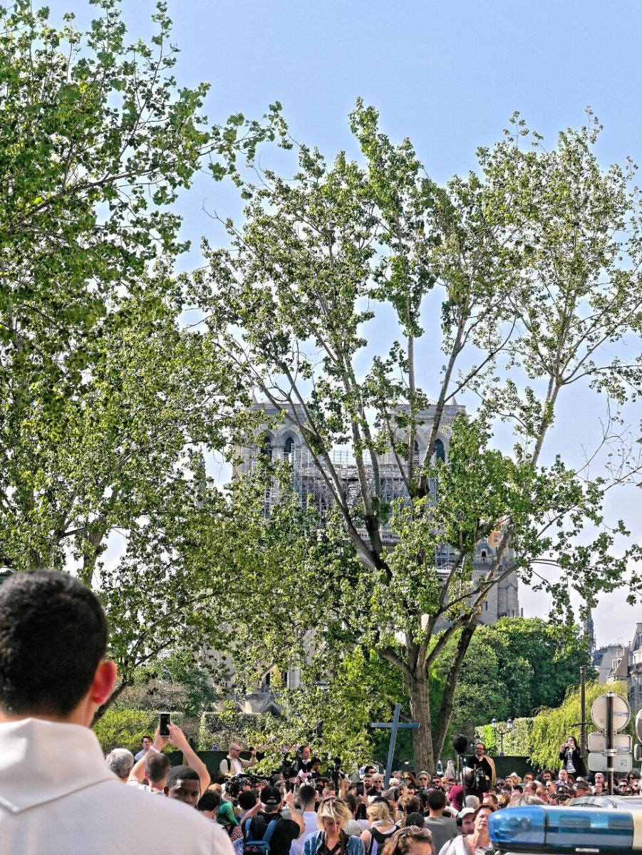 Chemin de croix de Notre-Dame de Paris. © Dominique Boschat / Diocèse de Paris.