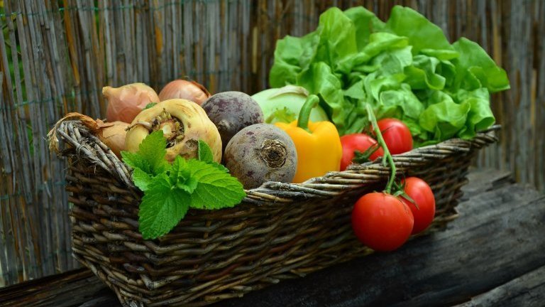 Repas solidaires en paroisse