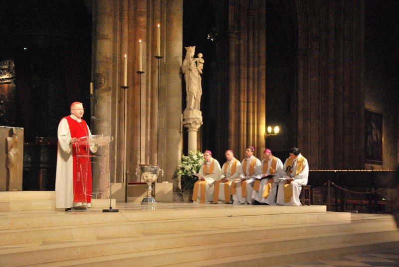 Le cardinal André Vingt-Trois a développé les axes essentiels de travail (…). © Pierre Louis Lensel.