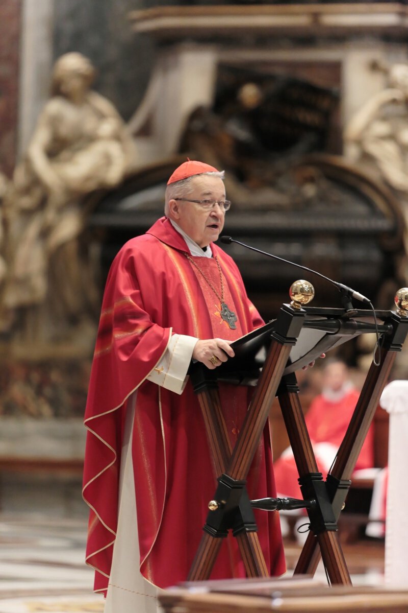 Saint-Pierre de Rome. Après le passage de la porte sainte les pèlerins ont (…). © Yannick Boschat / Diocèse de Paris.