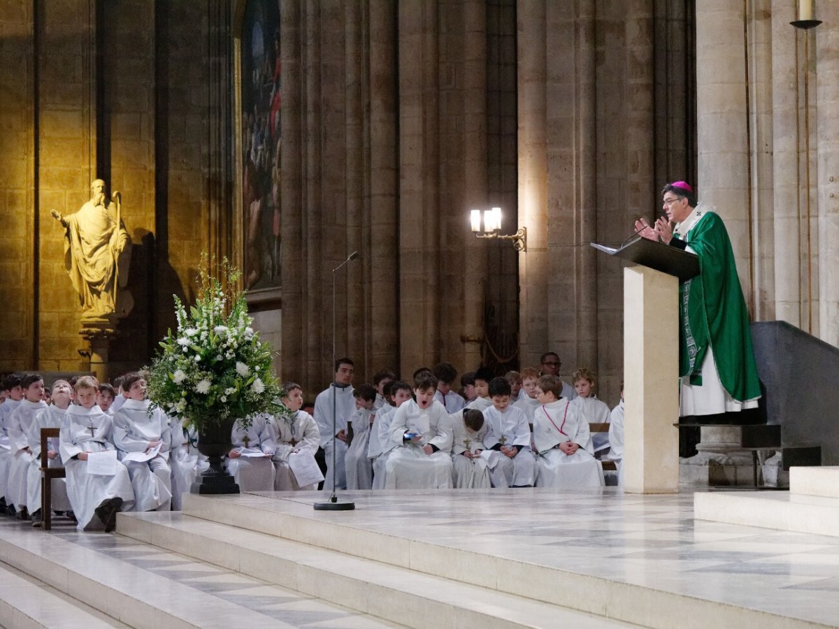 Mgr Michel Aupetit, archevêque de Paris. © Yannick Boschat / Diocèse de Paris.