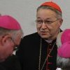 Discours de clôture du cardinal André Vingt-Trois lors de l'assemblée plénière des évêques