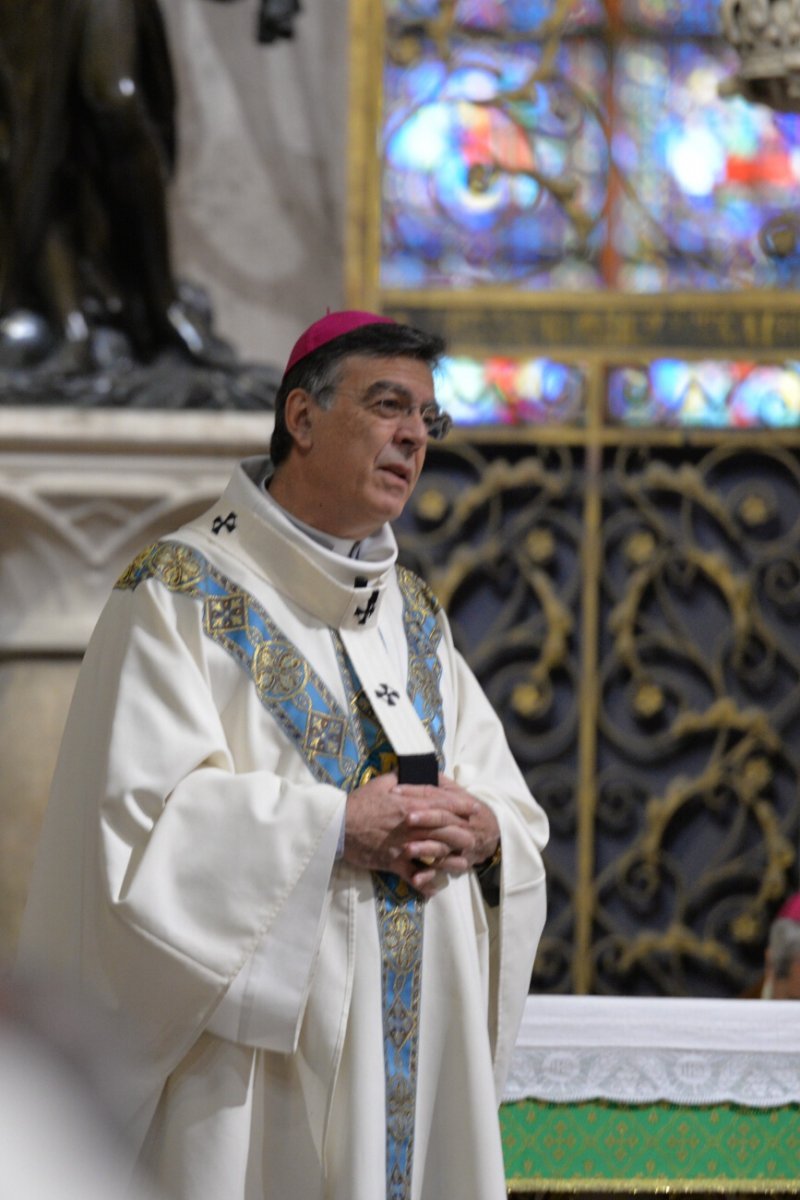 Mgr Michel Aupetit, archevêque de Paris. © Marie-Christine Bertin / Diocèse de Paris.