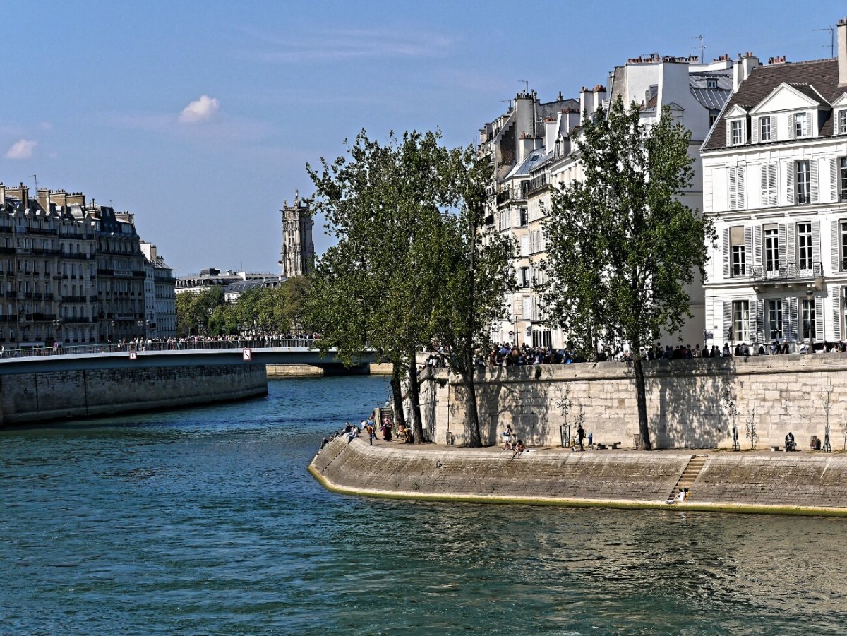 Chemin de croix de Notre-Dame de Paris. © Dominique Boschat / Diocèse de Paris.