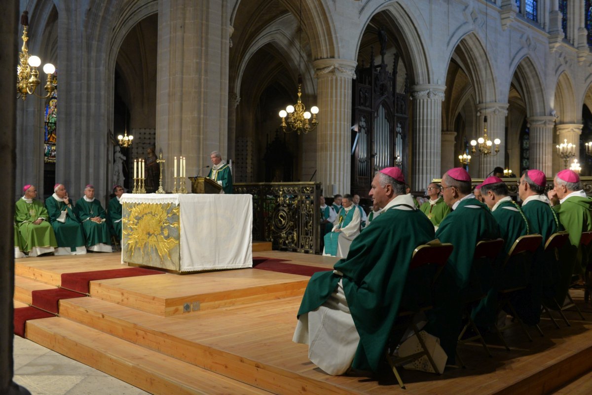 Imposition du pallium à Mgr Laurent Ulrich. © Marie-Christine Bertin / Diocèse de Paris.