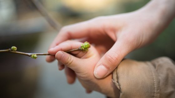 « Père et mère » : déclaration du Conseil Famille et Société de la Conférence des évêques de France