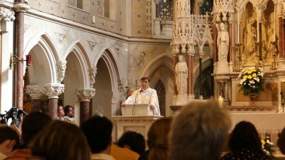 Homélie de Mgr Michel AUPETIT - Messe « pour la Famille » à l’occasion du Festival International des Familles, devant les pèlerins français à Dublin|supprimer_tags|attribut_html