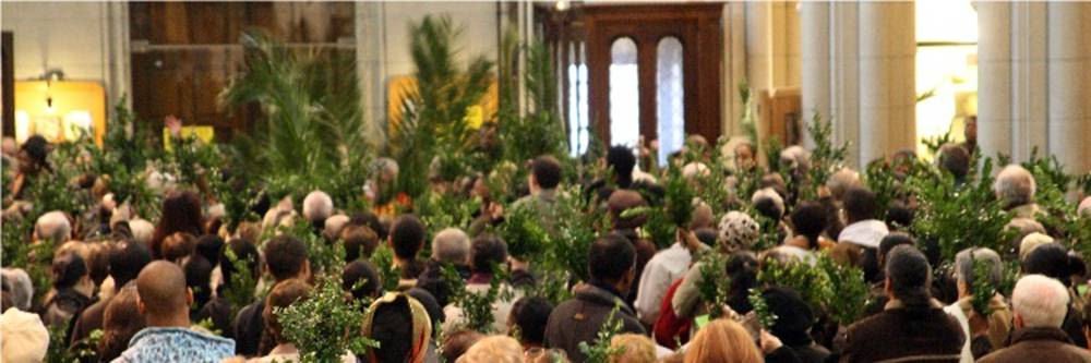 Procession des Rameaux à St Hypolite. 