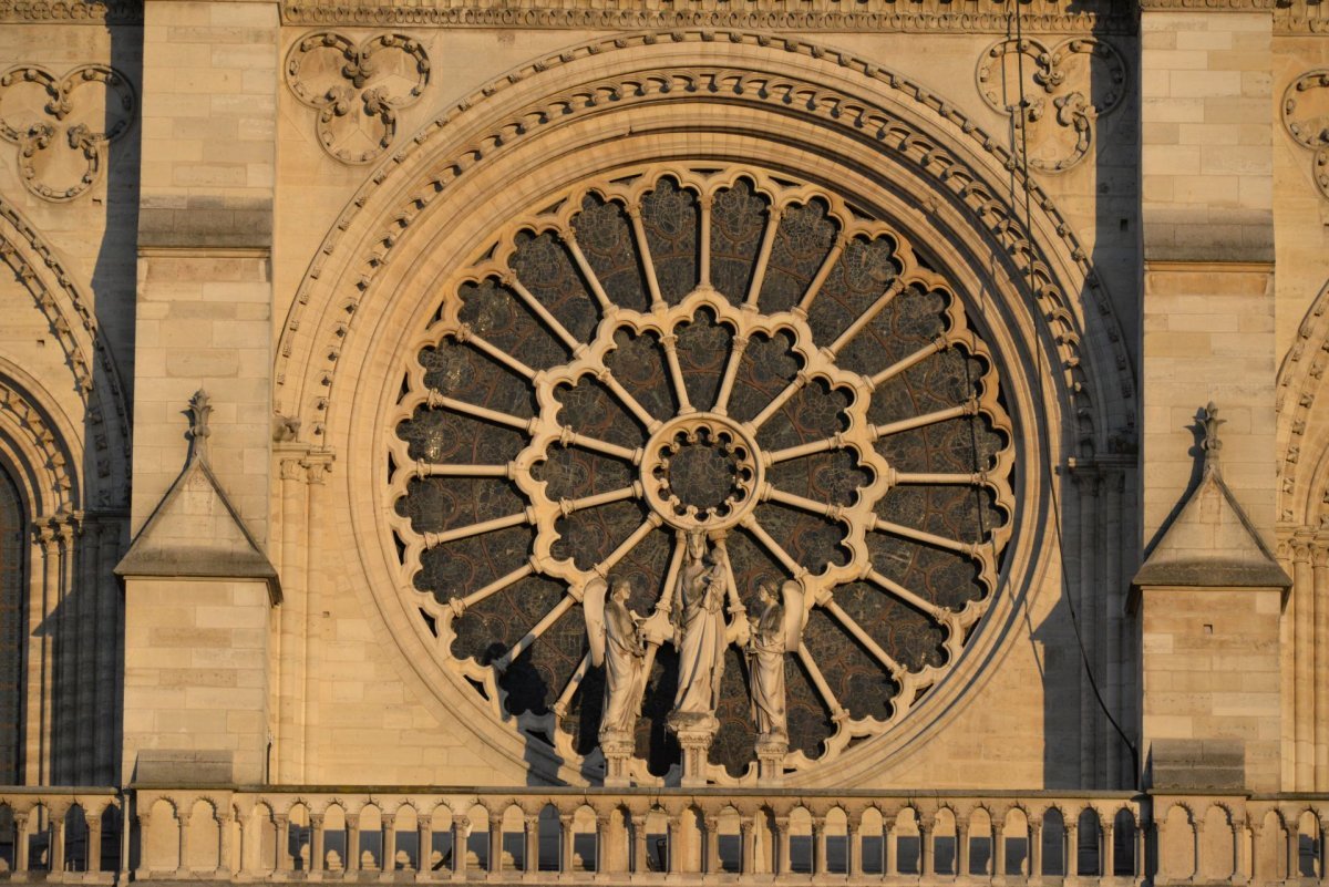 Veillée à Notre Dame avec Pierres Vivantes. © Marie-Christine Bertin / Diocèse de Paris.