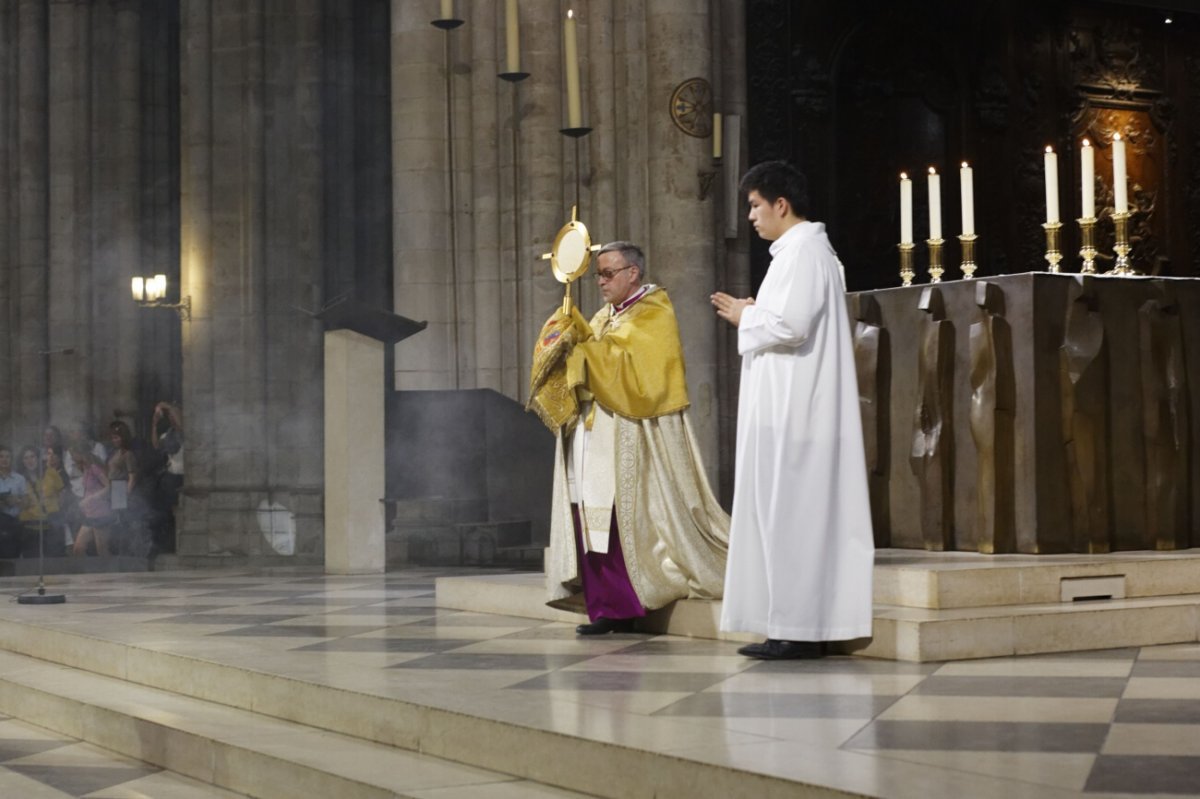 Procession à Notre-Dame de Paris. © Yannick Boschat / Diocèse de Paris.