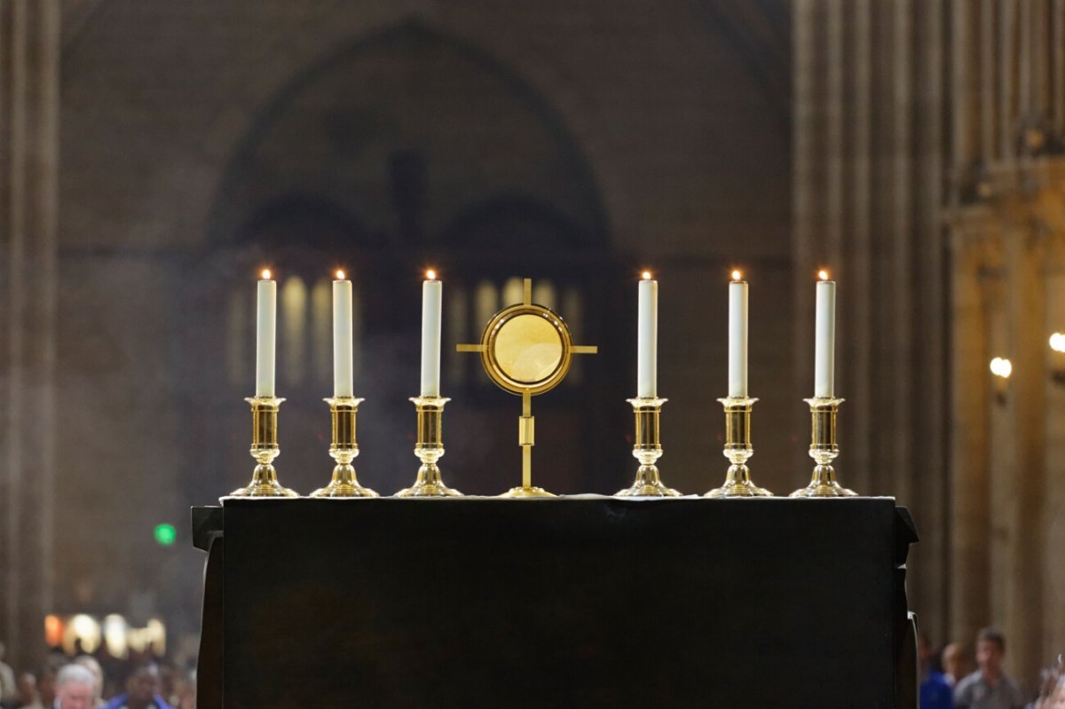 Procession à Notre-Dame de Paris. © Yannick Boschat / Diocèse de Paris.