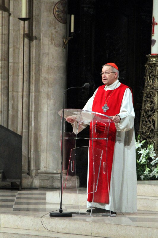 Le cardinal André Vingt-Trois a rappelé l'historique et le but de (…). © Yannick Boschat.