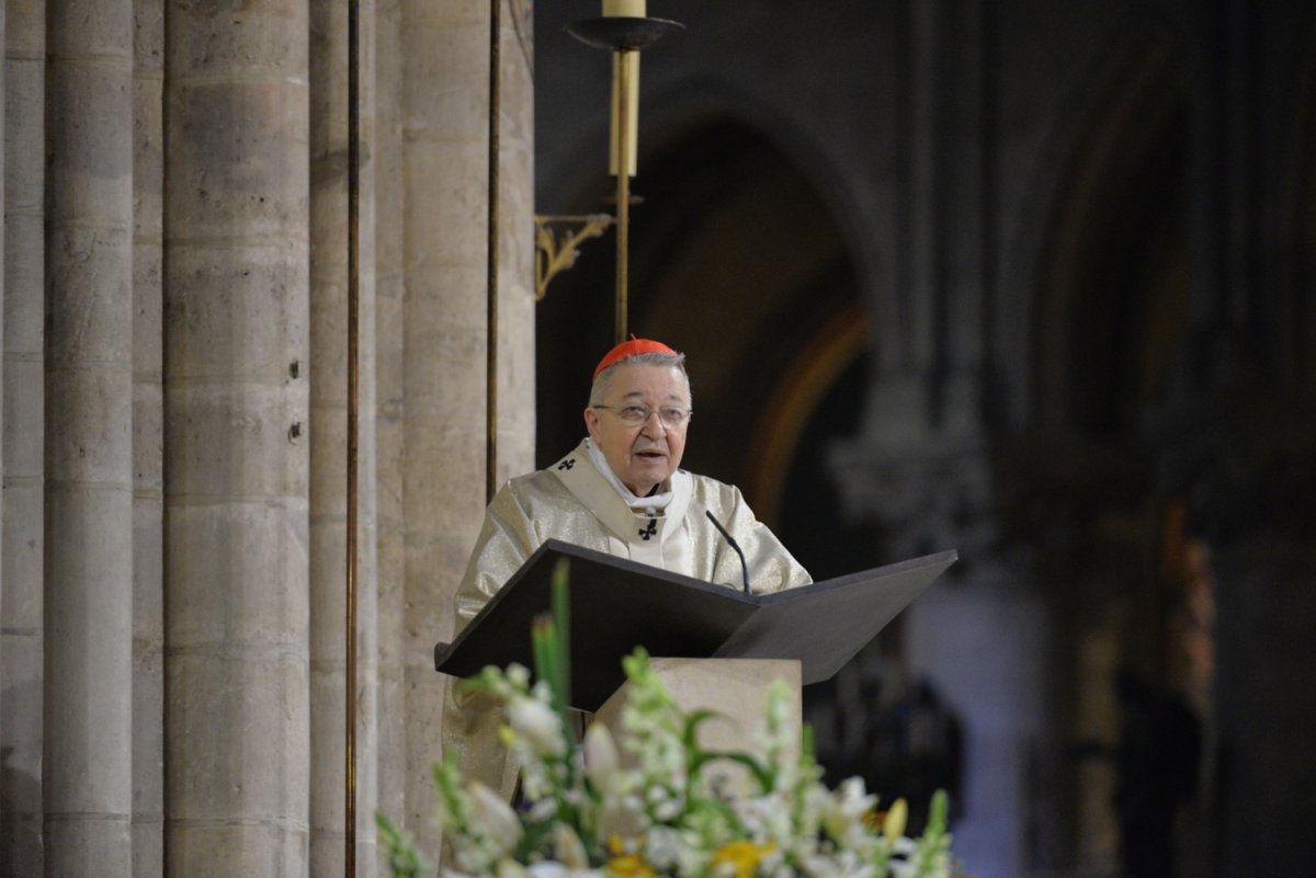 Homélie Du Cardinal André Vingt-Trois - Messe Des étudiants 2017 Des ...