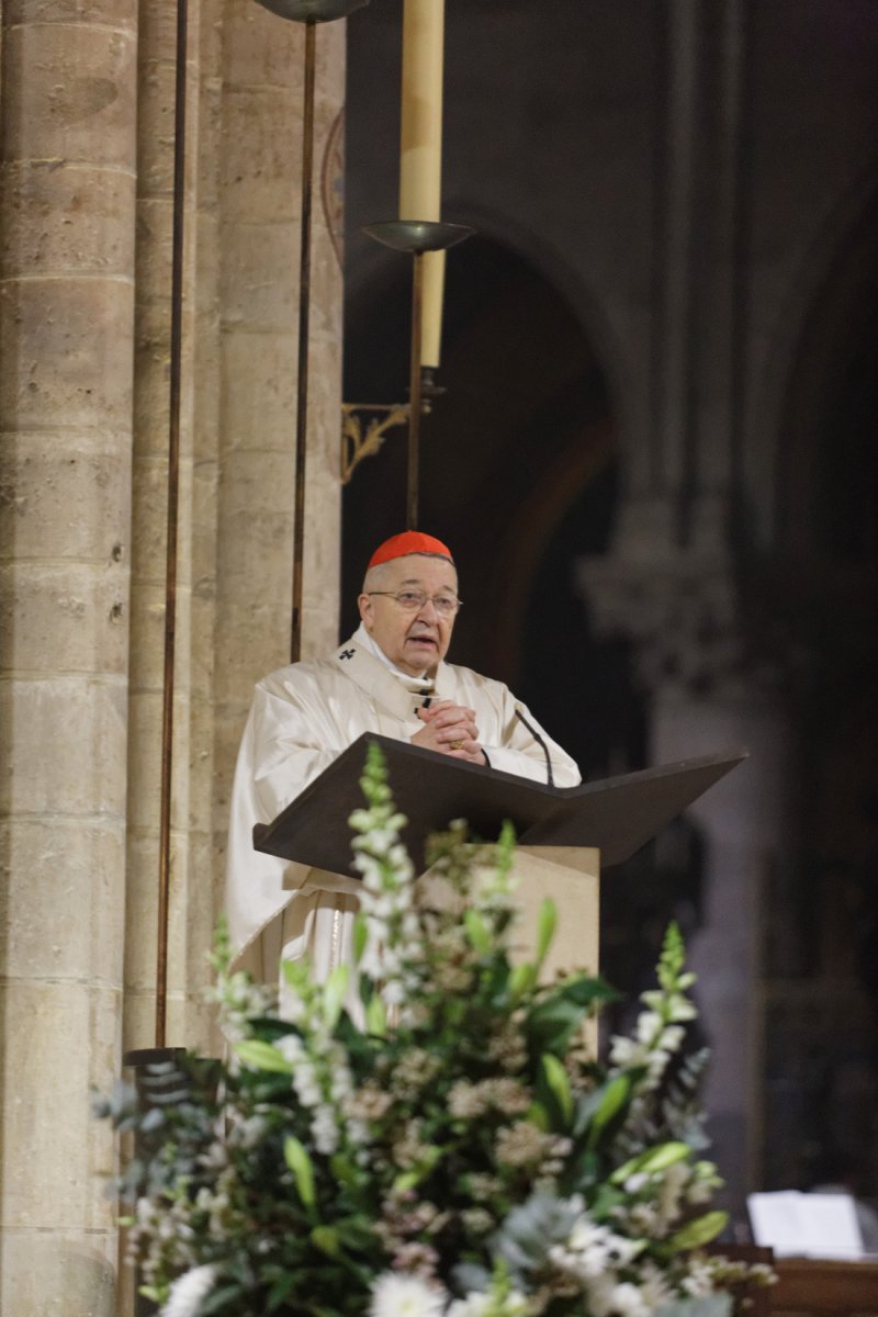 Homélie Du Cardinal André Vingt-Trois – Messe à Notre-Dame De Paris ...